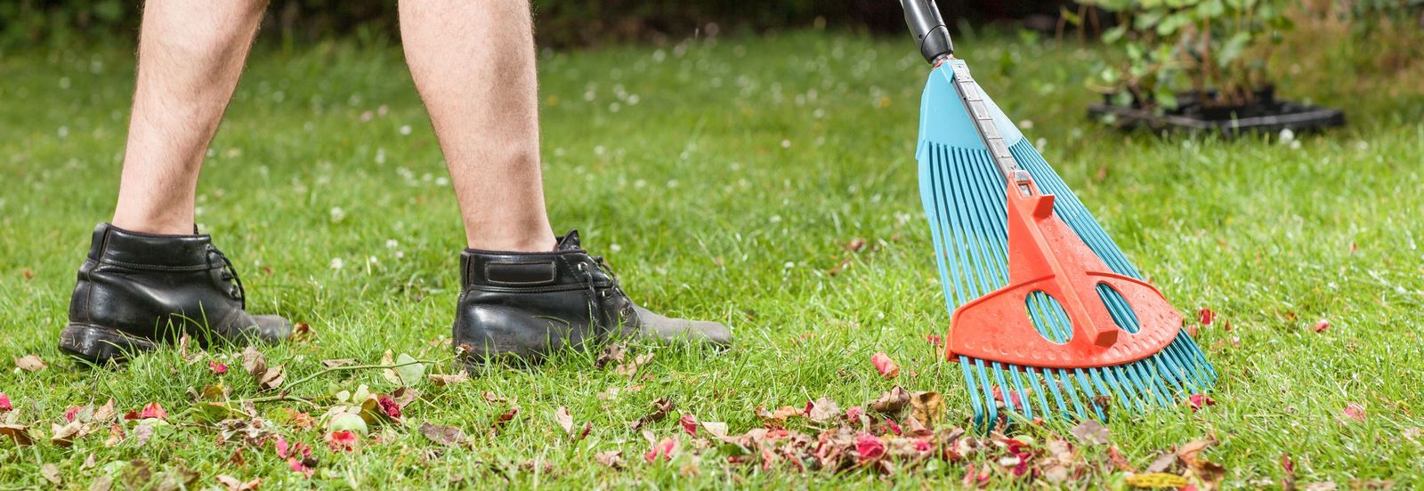 Fall or Spring Cleanup